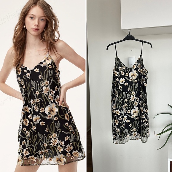 Aritzia Dresses & Skirts - Aritzia Little Moon Cheyenne Floral Mini Formal Evening Party Embroidered Dress
